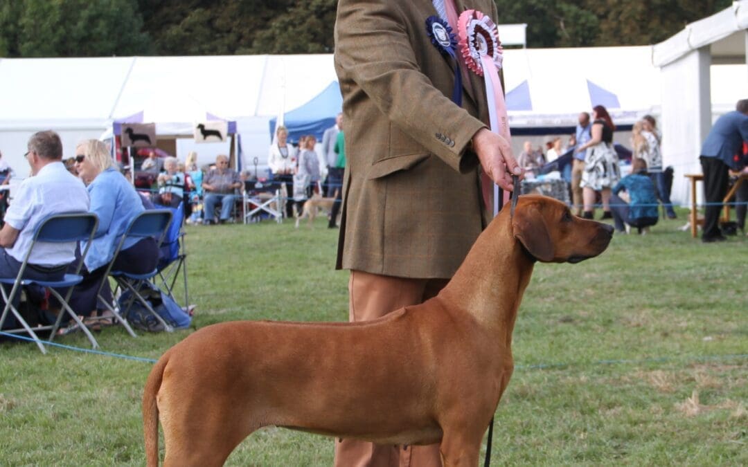 CH GUNTHWAITE’S TICKLED PINK JW